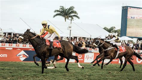 durban july betting|2023 Durban July Odds, Entries and Runners.